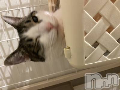 ���ܱ�������Х��顦�����K-LOUNGE(�����饦��) ƣ�� ����(36)��12��2���̥�֥����֤Ѥ��á�