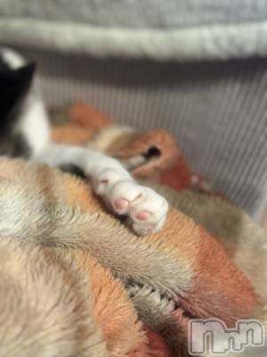 ���ܱ�������Х��顦�����K-LOUNGE(�����饦��) ƣ�� ����(36)��12��6���̥�֥����֤ߤ��ޤ�����