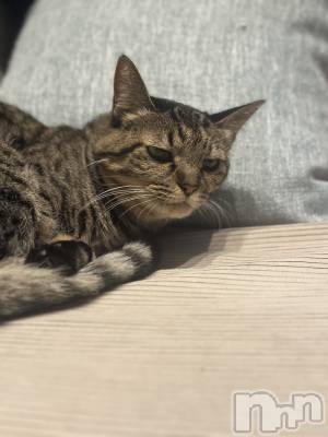 ���ܱ�������Х��顦�����K-LOUNGE(�����饦��) ƣ�� ����(36)��12��13���̥�֥����ֵ٤�ĺ���Ƥ��ޤ���