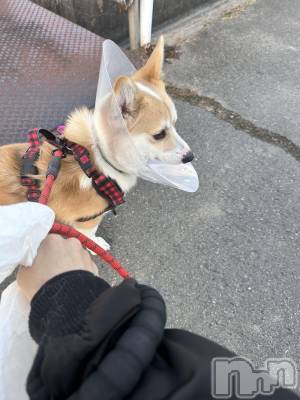 ���ܱ�������Х��顦�����K-LOUNGE(�����饦��) ƣ�� ����(36)��12��2���̥�֥����ֵ٤ߤǤ���