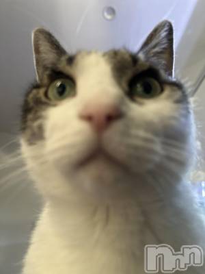 ���ܱ�������Х��顦�����K-LOUNGE(�����饦��) ƣ�� ����(36)��12��17���̥�֥����֡���