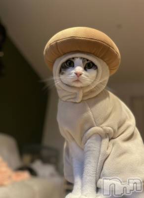 ���ܱ�������Х��顦�����K-LOUNGE(�����饦��) ƣ�� ����(36)��12��27���̥�֥�����ή�Ԥ�Ρ�