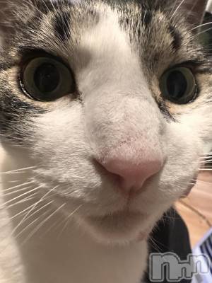 ���ܱ�������Х��顦�����K-LOUNGE(�����饦��) ƣ�� ����(36)��12��30���̥�֥����֤��餢��