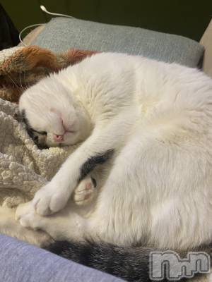 ���ܱ�������Х��顦�����K-LOUNGE(�����饦��) ƣ�� ����(36)��1��3���̥�֥����֤��ˤ���