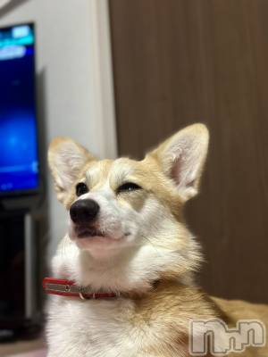 ���ܱ�������Х��顦�����K-LOUNGE(�����饦��) ƣ�� ����(36)��1��3���̥�֥����֤Ѥ��á�