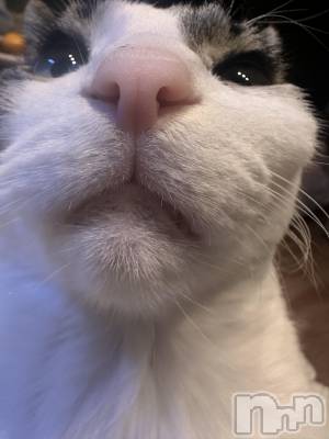 ���ܱ�������Х��顦�����K-LOUNGE(�����饦��) ƣ�� ����(36)��1��3���̥�֥�����ľ���