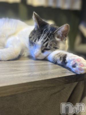 ���ܱ�������Х��顦�����K-LOUNGE(�����饦��) ƣ�� ����(36)��1��11���̥�֥�����Ź�����Ǥ�����