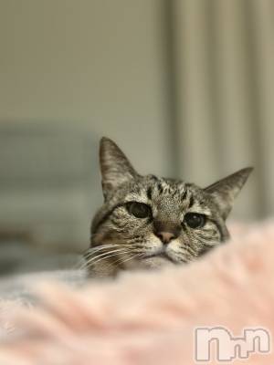 ���ܱ�������Х��顦�����K-LOUNGE(�����饦��) ƣ�� ����(36)��1��10���̥�֥����֡���