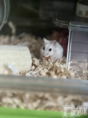 ���ܱ�������Х��顦�����K-LOUNGE(�����饦��) ƣ�� ����(36)��1��21���̥�֥����ֺ����Τ������