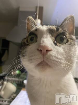 ���ܱ�������Х��顦�����K-LOUNGE(�����饦��) ƣ�� ����(36)��1��23���̥�֥����֡���