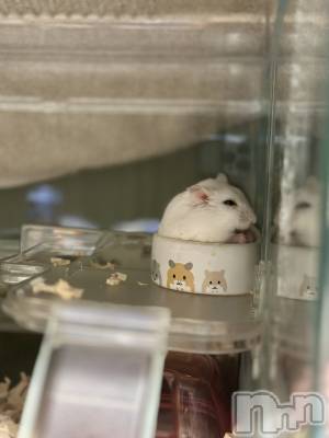 ���ܱ�������Х��顦�����K-LOUNGE(�����饦��) ƣ�� ����(36)��1��25���̥�֥����ֺ����Τ������