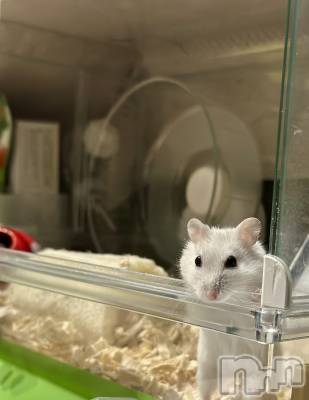 ���ܱ�������Х��顦�����K-LOUNGE(�����饦��) ƣ�� ����(36)��1��27���̥�֥����ֺ����Τ������