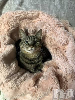 ���ܱ�������Х��顦�����K-LOUNGE(�����饦��) ƣ�� ����(36)��1��29���̥�֥���������