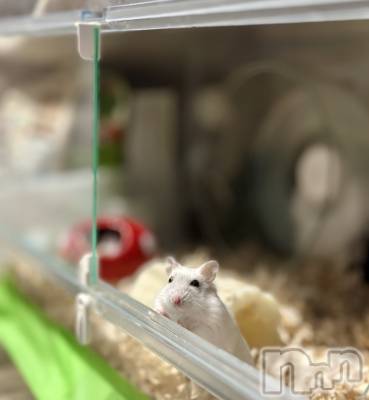 ���ܱ�������Х��顦�����K-LOUNGE(�����饦��) ƣ�� ����(36)��1��28���̥�֥����ֺ����Τ������