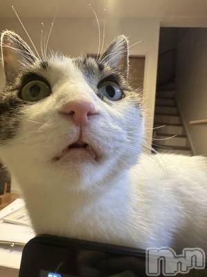 ���ܱ�������Х��顦�����K-LOUNGE(�����饦��) ƣ�� ����(36)��2��3���̥�֥����֤ء���