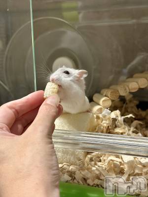 ���ܱ�������Х��顦�����K-LOUNGE(�����饦��) ƣ�� ����(36)��2��11���̥�֥����ֺ����Τ������