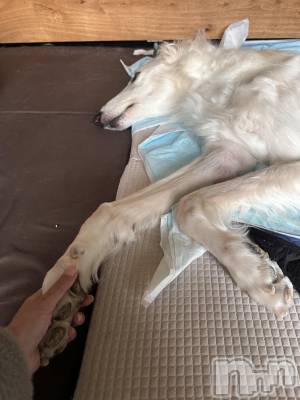 ���ܱ�������Х��顦�����K-LOUNGE(�����饦��) ƣ�� ����(36)��2��25���̥�֥����ִ�ĥ�äơ�