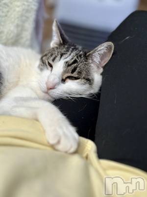 ���ܱ�������Х��顦�����K-LOUNGE(�����饦��) ƣ�� ����(36)��2��24���̥�֥����������Ĥ��Ρ�