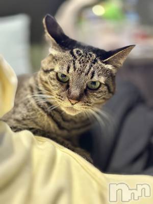 ���ܱ�������Х��顦�����K-LOUNGE(�����饦��) ƣ�� ����(36)��2��28���̥�֥����֡���