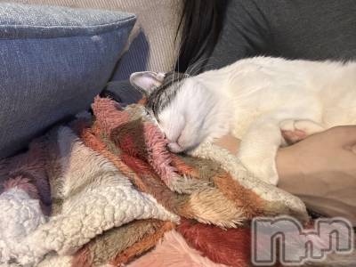 ���ܱ�������Х��顦�����K-LOUNGE(�����饦��) ƣ�� ����(36)��3��1���̥�֥�����ή������Ƥ����