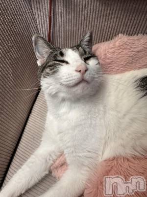 ���ܱ�������Х��顦�����K-LOUNGE(�����饦��) ƣ�� ����(36)��3��2���̥�֥����֤ˤä����