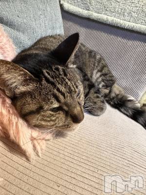 ���ܱ�������Х��顦�����K-LOUNGE(�����饦��) ƣ�� ����(36)��3��2���̥�֥����֤�������