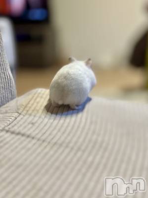 ���ܱ�������Х��顦�����K-LOUNGE(�����饦��) ƣ�� ����(36)��3��3���̥�֥�����Shiri♥��