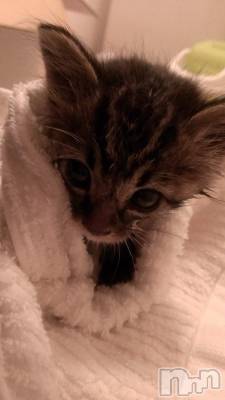 ���ܱ�������Х��顦�����K-LOUNGE(�����饦��) ƣ�� ����(36)��3��4���̥�֥����֤��Ӥá�