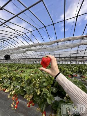 ���ܱ�������Х��顦�����K-LOUNGE(�����饦��) ƣ�� ����(36)��3��5���̥�֥����֤Ҥȼ��ꤤ��������