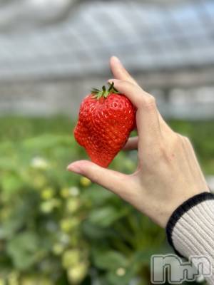 ���ܱ�������Х��顦�����K-LOUNGE(�����饦��) ƣ�� ����(36)��3��7���̥�֥����֤���������