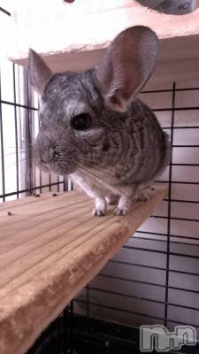 ���ܱ�������Х��顦�����K-LOUNGE(�����饦��) ƣ�� ����(36)��3��8���̥�֥����֤ޤ�������