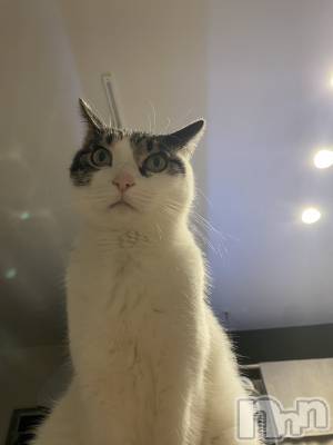 ���ܱ�������Х��顦�����K-LOUNGE(�����饦��) ƣ�� ����(36)��3��10���̥�֥����֤ˤ礭�á�