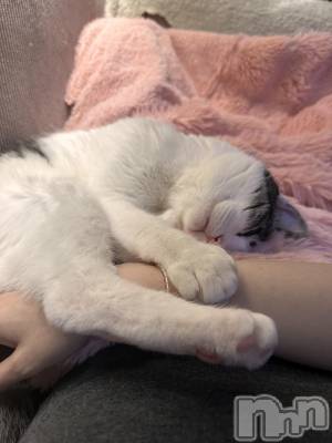 ���ܱ�������Х��顦�����K-LOUNGE(�����饦��) ƣ�� ����(36)��3��11���̥�֥����֤��ˤ���