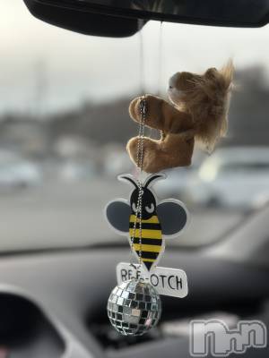 ���ܱ�������Х��顦�����K-LOUNGE(�����饦��) ƣ�� ����(36)��3��13���̥�֥����֤����㤴�����