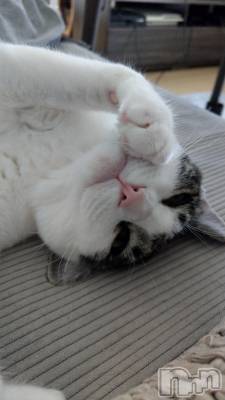 ���ܱ�������Х��顦�����K-LOUNGE(�����饦��) ƣ�� ����(36)��3��11���̥�֥�����������