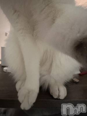 ���ܱ�������Х��顦�����K-LOUNGE(�����饦��) ƣ�� ����(36)��3��16���̥�֥�����ᗢᘏᓗ��