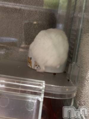 ���ܱ�������Х��顦�����K-LOUNGE(�����饦��) ƣ�� ����(36)��3��20���̥�֥����ֺ����Τ������