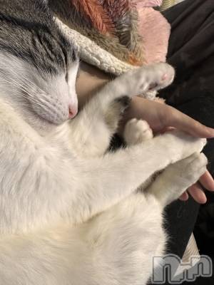 ���ܱ�������Х��顦�����K-LOUNGE(�����饦��) ƣ�� ����(36)��3��21���̥�֥����֤��äѤ���