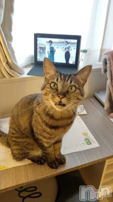 ���ܱ�������Х��顦�����K-LOUNGE(�����饦��) ƣ�� ����(36)��3��21���̥�֥����֤ޡ���