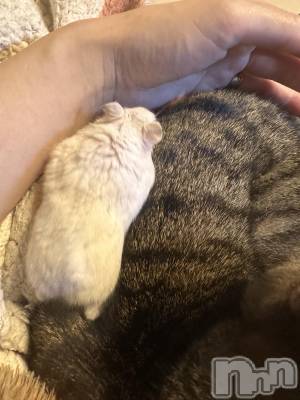 ���ܱ�������Х��顦�����K-LOUNGE(�����饦��) ƣ�� ����(36)��3��22���̥�֥����ֺ����Τ������