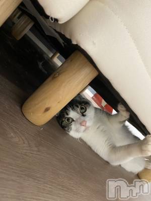 ���ܱ�������Х��顦�����K-LOUNGE(�����饦��) ƣ�� ����(36)��3��26���̥�֥����־�������