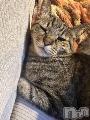 ���ܱ�������Х��顦�����K-LOUNGE(�����饦��) ƣ�� ����(36)��3��26���̥�֥����֤ͤ�����