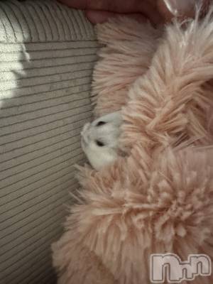 ���ܱ�������Х��顦�����K-LOUNGE(�����饦��) ƣ�� ����(36)��3��28���̥�֥����֤�դá�