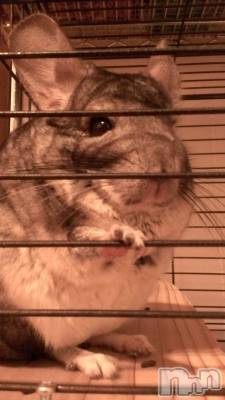 ���ܱ�������Х��顦�����K-LOUNGE(�����饦��) ƣ�� ����(36)��3��29���̥�֥����ֵפ��֤�Ρ�