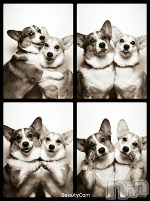 ���ܱ�������Х��顦�����K-LOUNGE(�����饦��) ƣ�� ����(36)��4��4���̥�֥����ֵ㤱���