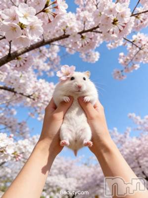 ���ܱ�������Х��顦�����K-LOUNGE(�����饦��) ƣ�� ����(36)��4��5���̥�֥����֤Ǥä���