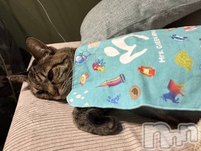 ���ܱ�������Х��顦�����K-LOUNGE(�����饦��) ƣ�� ����(36)��4��6���̥�֥�����������