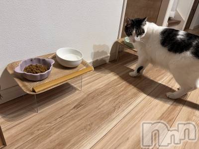 ���ܱ�������Х��顦�����K-LOUNGE(�����饦��) ƣ�� ����(36)��4��8���̥�֥����ֺ�ä���