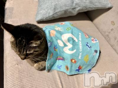 ���ܱ�������Х��顦�����K-LOUNGE(�����饦��) ƣ�� ����(36)��4��10���̥�֥����֤���ऺ�ʡ�