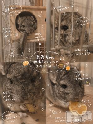 ���ܱ�������Х��顦�����K-LOUNGE(�����饦��) ƣ�� ����(36)��5��24���̥�֥����ֲİ����Ρ�